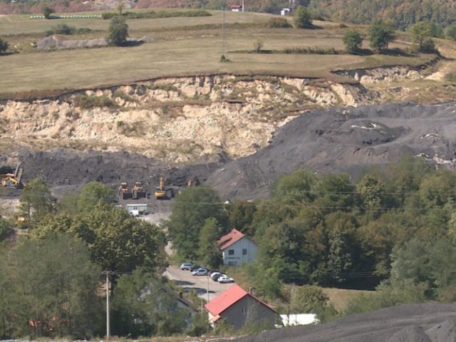 Društvo