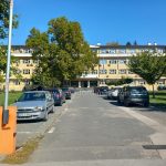 Mladi