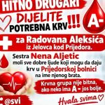 Društvo