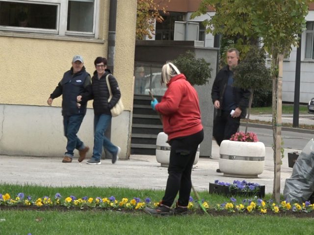 Društvo