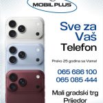 Društvo