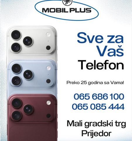 Društvo