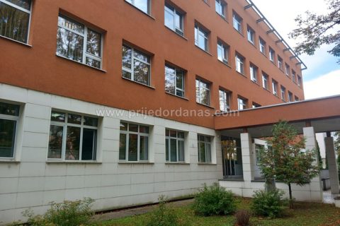 Hronika