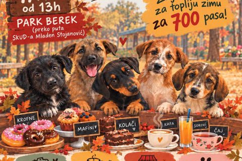 Život